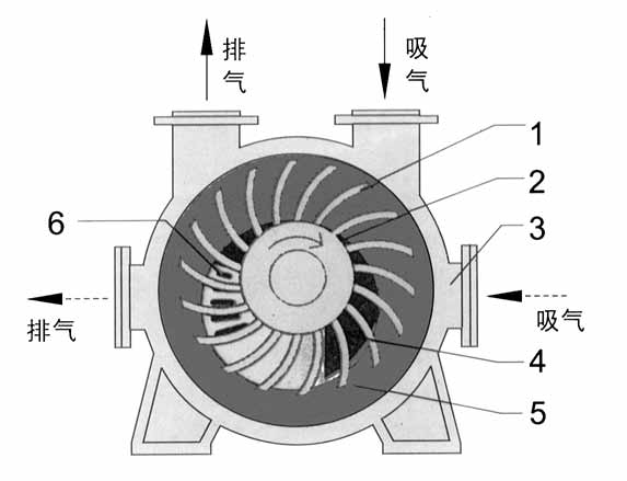 2BE1水环式爱体育（中国）结构图